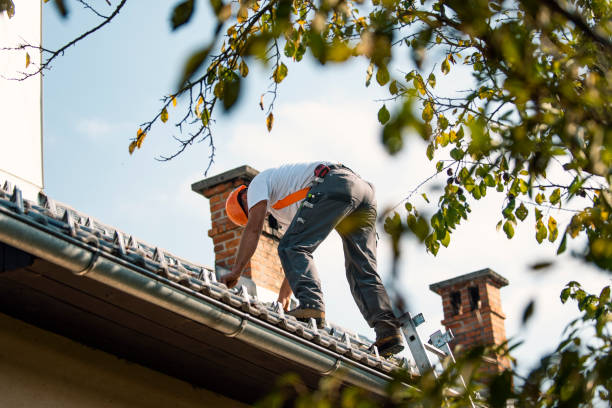 Best Storm Damage Roof Repair  in Crosspointe, VA